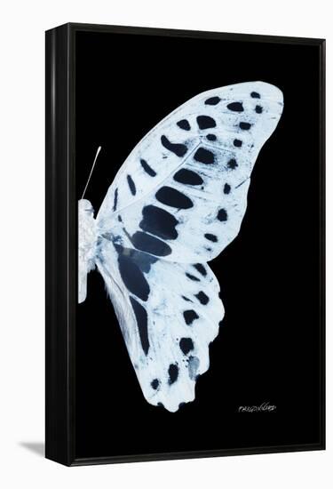 Miss Butterfly Graphium - X-Ray Right Black Edition-Philippe Hugonnard-Framed Premier Image Canvas