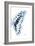 Miss Butterfly Graphium - X-Ray Right White Edition-Philippe Hugonnard-Framed Photographic Print