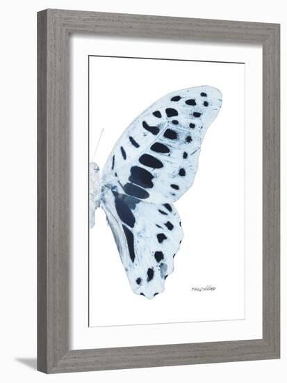 Miss Butterfly Graphium - X-Ray Right White Edition-Philippe Hugonnard-Framed Photographic Print