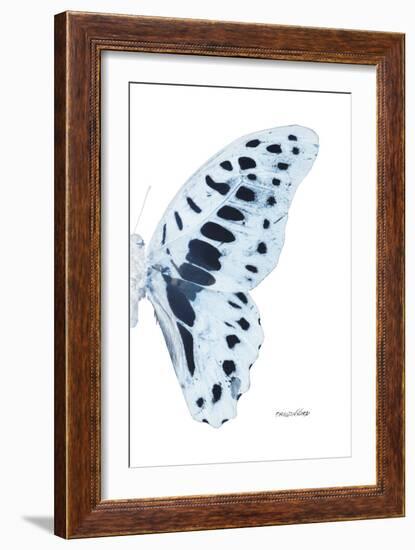 Miss Butterfly Graphium - X-Ray Right White Edition-Philippe Hugonnard-Framed Photographic Print