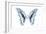 Miss Butterfly Graphium - X-Ray White Edition-Philippe Hugonnard-Framed Photographic Print