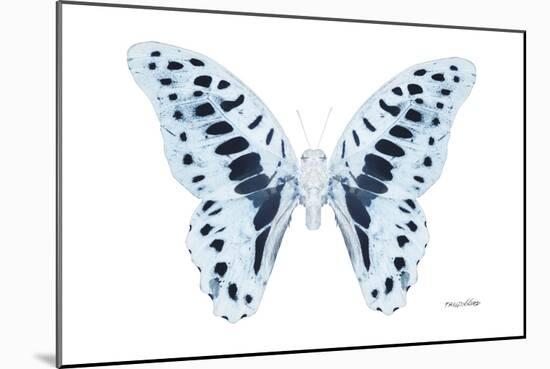 Miss Butterfly Graphium - X-Ray White Edition-Philippe Hugonnard-Mounted Photographic Print