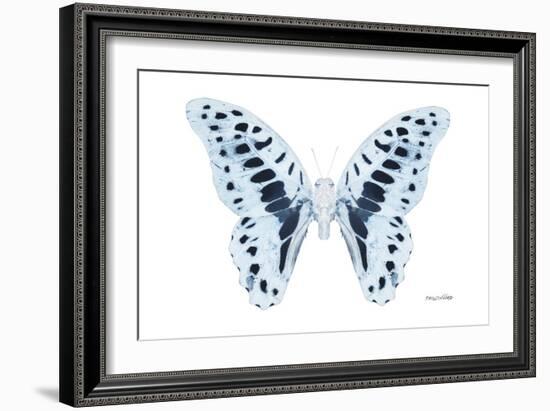 Miss Butterfly Graphium - X-Ray White Edition-Philippe Hugonnard-Framed Photographic Print