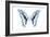 Miss Butterfly Graphium - X-Ray White Edition-Philippe Hugonnard-Framed Photographic Print