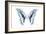 Miss Butterfly Graphium - X-Ray White Edition-Philippe Hugonnard-Framed Photographic Print