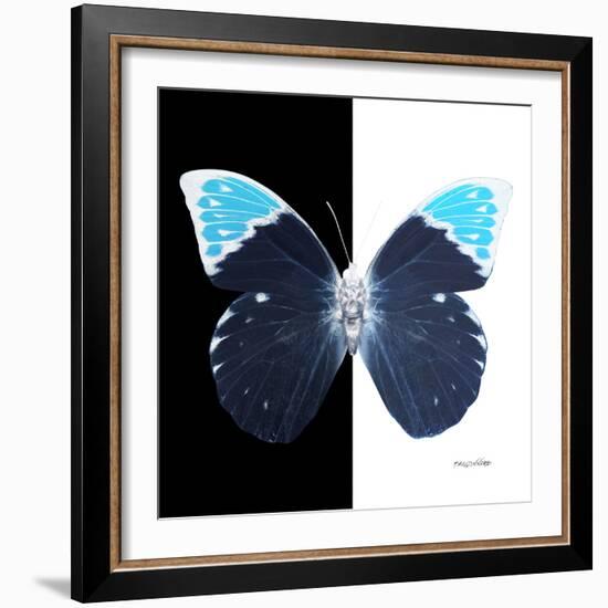 Miss Butterfly Hebomoia Sq - X-Ray B&W Edition-Philippe Hugonnard-Framed Photographic Print
