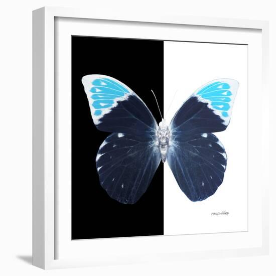 Miss Butterfly Hebomoia Sq - X-Ray B&W Edition-Philippe Hugonnard-Framed Photographic Print