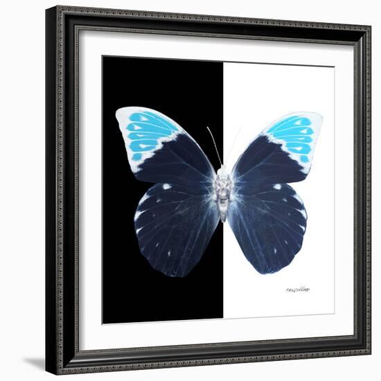 Miss Butterfly Hebomoia Sq - X-Ray B&W Edition-Philippe Hugonnard-Framed Photographic Print