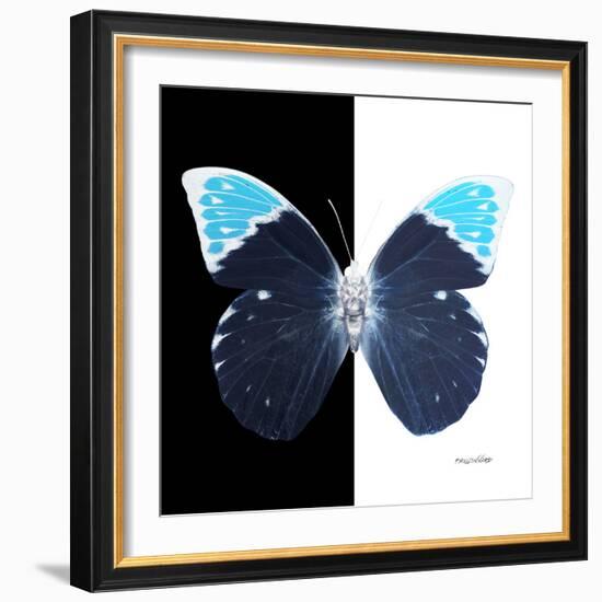 Miss Butterfly Hebomoia Sq - X-Ray B&W Edition-Philippe Hugonnard-Framed Photographic Print