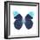 Miss Butterfly Hebomoia Sq - X-Ray White Edition-Philippe Hugonnard-Framed Photographic Print