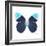 Miss Butterfly Hebomoia Sq - X-Ray White Edition-Philippe Hugonnard-Framed Photographic Print