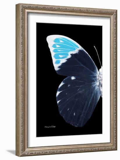 Miss Butterfly Hebomoia - X-Ray Left Black Edition-Philippe Hugonnard-Framed Photographic Print