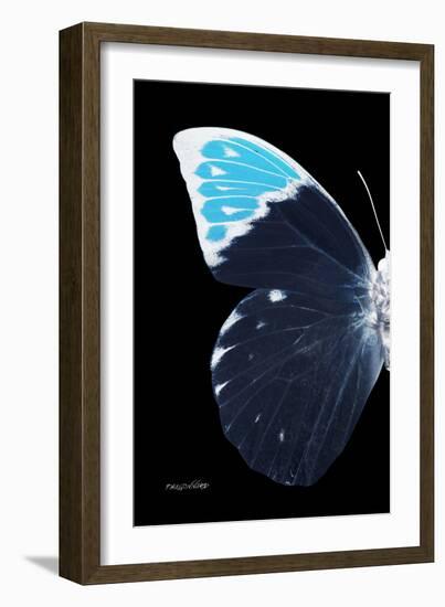 Miss Butterfly Hebomoia - X-Ray Left Black Edition-Philippe Hugonnard-Framed Photographic Print