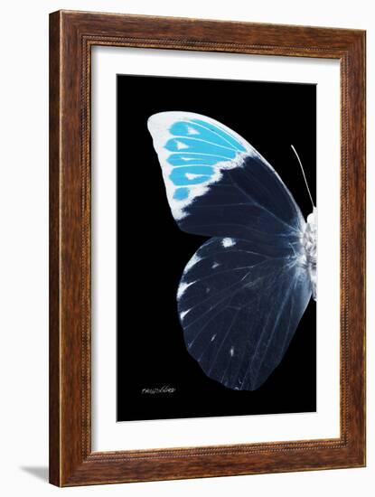 Miss Butterfly Hebomoia - X-Ray Left Black Edition-Philippe Hugonnard-Framed Photographic Print