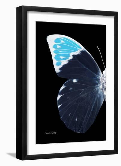 Miss Butterfly Hebomoia - X-Ray Left Black Edition-Philippe Hugonnard-Framed Photographic Print