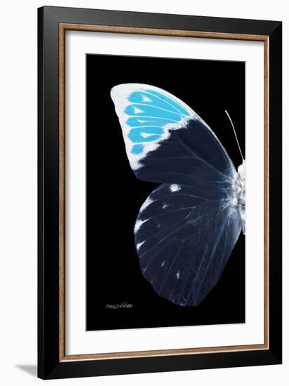 Miss Butterfly Hebomoia - X-Ray Left Black Edition-Philippe Hugonnard-Framed Photographic Print