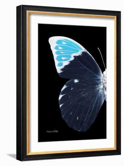 Miss Butterfly Hebomoia - X-Ray Left Black Edition-Philippe Hugonnard-Framed Photographic Print