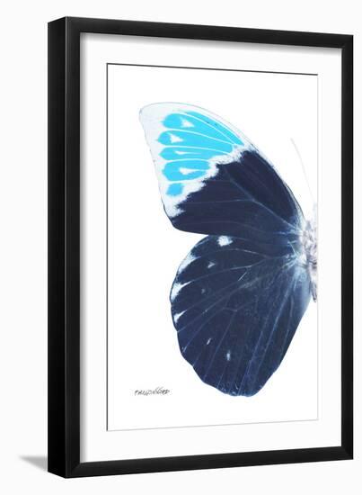 Miss Butterfly Hebomoia - X-Ray Left White Edition-Philippe Hugonnard-Framed Photographic Print