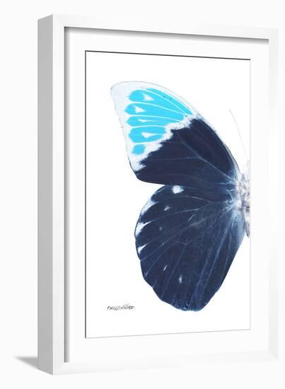 Miss Butterfly Hebomoia - X-Ray Left White Edition-Philippe Hugonnard-Framed Photographic Print