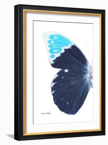 Miss Butterfly Hebomoia - X-Ray Left White Edition-Philippe Hugonnard-Framed Photographic Print