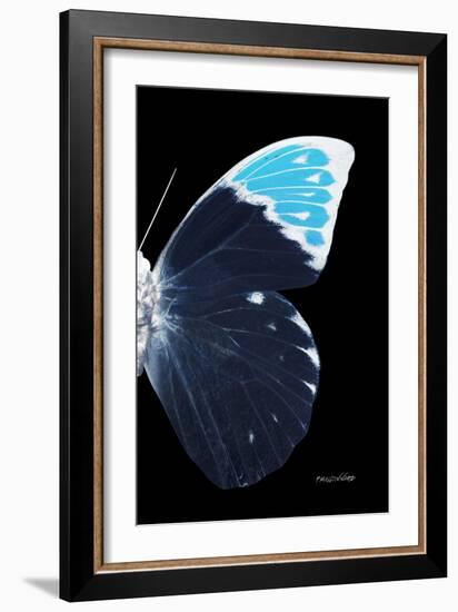 Miss Butterfly Hebomoia - X-Ray Right Black Edition-Philippe Hugonnard-Framed Photographic Print