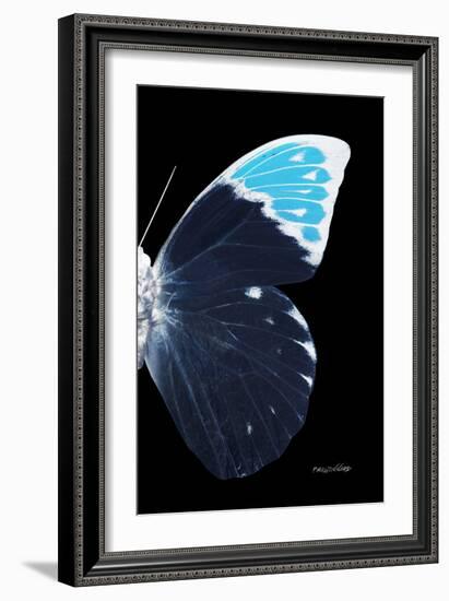 Miss Butterfly Hebomoia - X-Ray Right Black Edition-Philippe Hugonnard-Framed Photographic Print