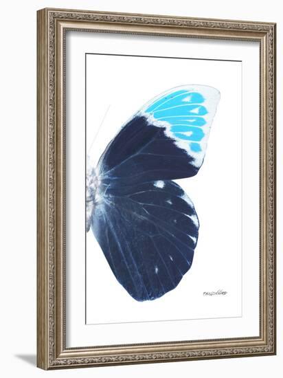 Miss Butterfly Hebomoia - X-Ray Right White Edition-Philippe Hugonnard-Framed Photographic Print