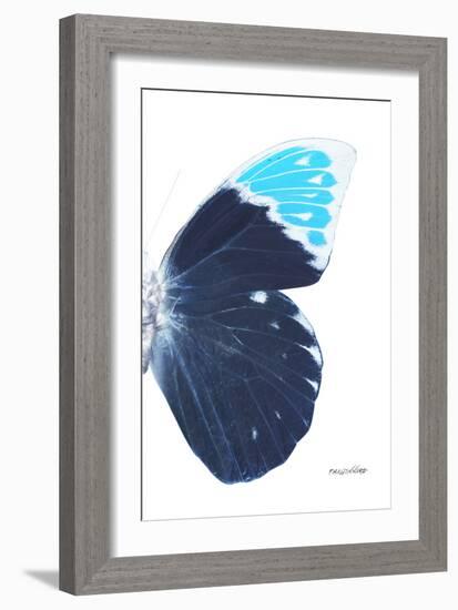 Miss Butterfly Hebomoia - X-Ray Right White Edition-Philippe Hugonnard-Framed Photographic Print