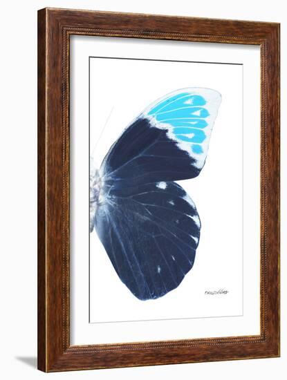 Miss Butterfly Hebomoia - X-Ray Right White Edition-Philippe Hugonnard-Framed Photographic Print