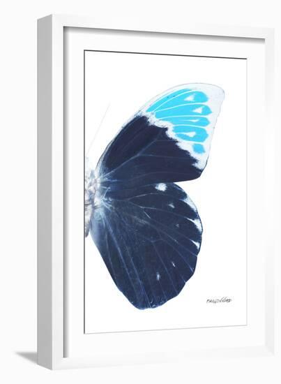 Miss Butterfly Hebomoia - X-Ray Right White Edition-Philippe Hugonnard-Framed Photographic Print