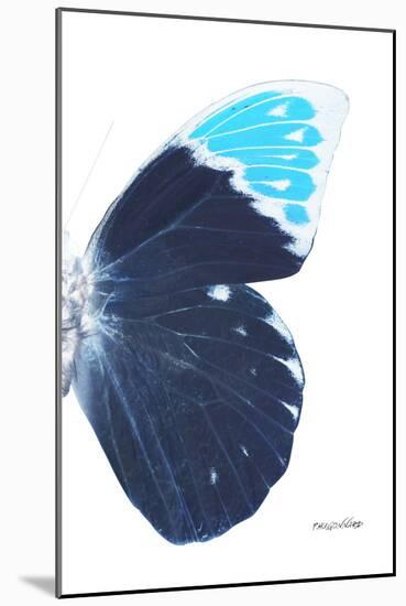 Miss Butterfly Hebomoia - X-Ray Right White Edition-Philippe Hugonnard-Mounted Photographic Print