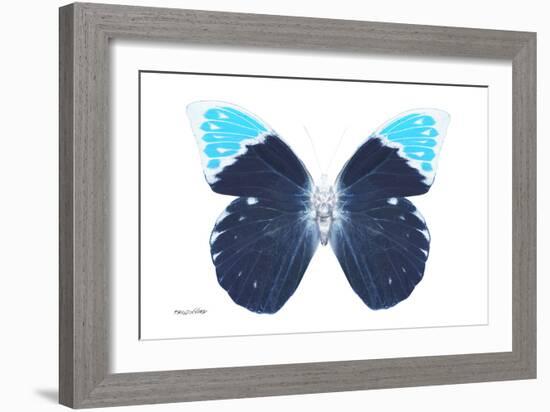 Miss Butterfly Hebomoia - X-Ray White Edition-Philippe Hugonnard-Framed Photographic Print