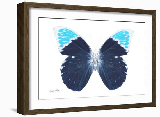 Miss Butterfly Hebomoia - X-Ray White Edition-Philippe Hugonnard-Framed Photographic Print