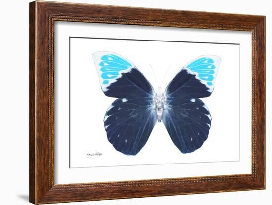 Miss Butterfly Hebomoia - X-Ray White Edition-Philippe Hugonnard-Framed Photographic Print