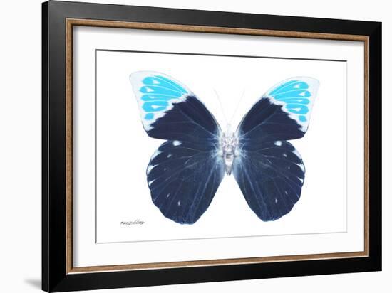 Miss Butterfly Hebomoia - X-Ray White Edition-Philippe Hugonnard-Framed Photographic Print