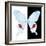 Miss Butterfly Hermosanus Sq - X-Ray B&W Edition-Philippe Hugonnard-Framed Photographic Print