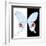 Miss Butterfly Hermosanus Sq - X-Ray B&W Edition-Philippe Hugonnard-Framed Photographic Print