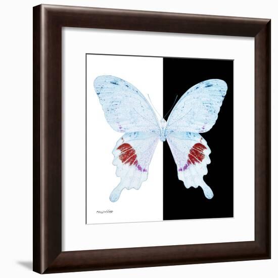 Miss Butterfly Hermosanus Sq - X-Ray B&W Edition-Philippe Hugonnard-Framed Photographic Print