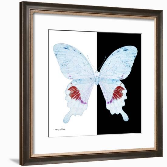 Miss Butterfly Hermosanus Sq - X-Ray B&W Edition-Philippe Hugonnard-Framed Photographic Print