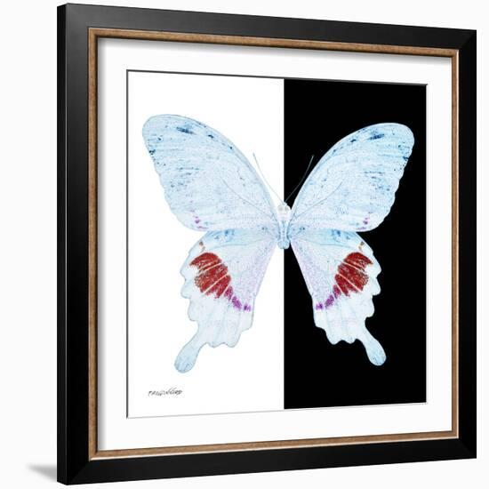 Miss Butterfly Hermosanus Sq - X-Ray B&W Edition-Philippe Hugonnard-Framed Photographic Print