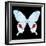 Miss Butterfly Hermosanus Sq - X-Ray Black Edition-Philippe Hugonnard-Framed Photographic Print