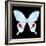 Miss Butterfly Hermosanus Sq - X-Ray Black Edition-Philippe Hugonnard-Framed Photographic Print