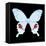 Miss Butterfly Hermosanus Sq - X-Ray Black Edition-Philippe Hugonnard-Framed Stretched Canvas