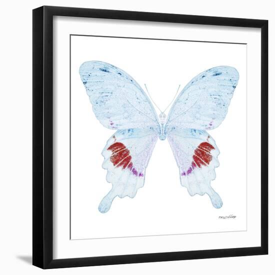 Miss Butterfly Hermosanus Sq - X-Ray White Edition-Philippe Hugonnard-Framed Photographic Print