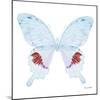 Miss Butterfly Hermosanus Sq - X-Ray White Edition-Philippe Hugonnard-Mounted Photographic Print
