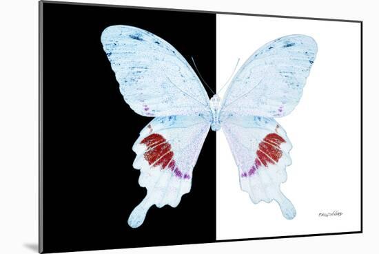 Miss Butterfly Hermosanus - X-Ray B&W Edition-Philippe Hugonnard-Mounted Premium Photographic Print