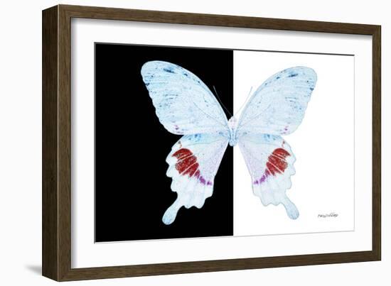 Miss Butterfly Hermosanus - X-Ray B&W Edition-Philippe Hugonnard-Framed Photographic Print