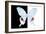 Miss Butterfly Hermosanus - X-Ray B&W Edition-Philippe Hugonnard-Framed Photographic Print