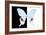 Miss Butterfly Hermosanus - X-Ray B&W Edition-Philippe Hugonnard-Framed Photographic Print