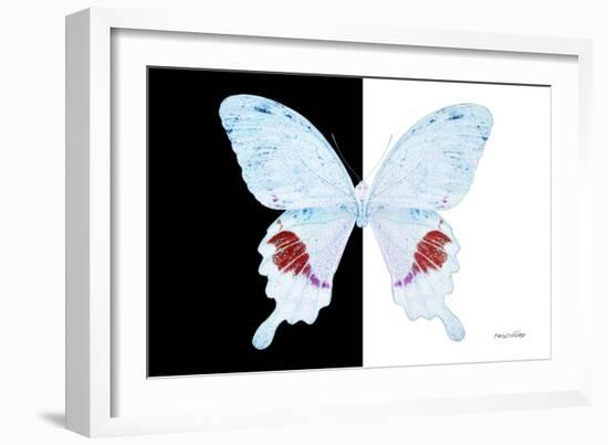 Miss Butterfly Hermosanus - X-Ray B&W Edition-Philippe Hugonnard-Framed Photographic Print